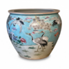 Aquario Chines