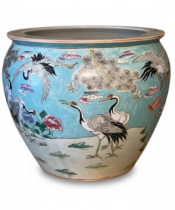 Aquario Chines