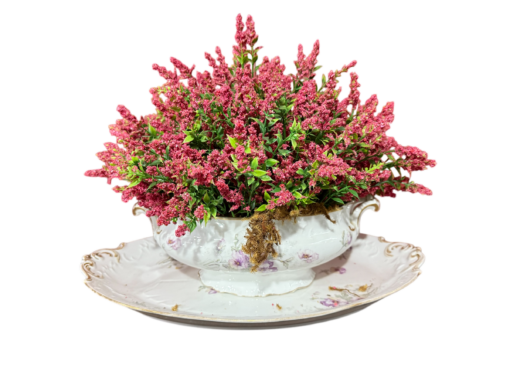 Sopeira de Porcelana - Image 2